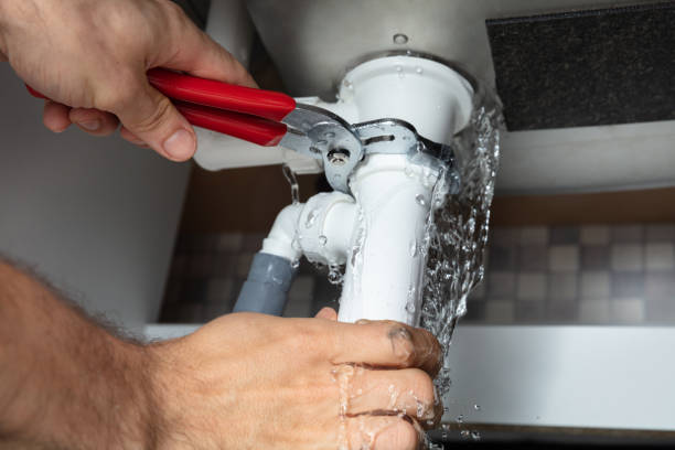 Best Professional water damage repair  in Irving, TX