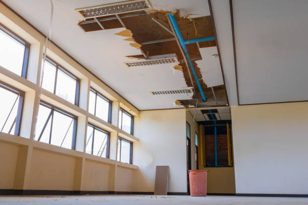 Best Sewage cleanup and water damage restoration  in Irving, TX