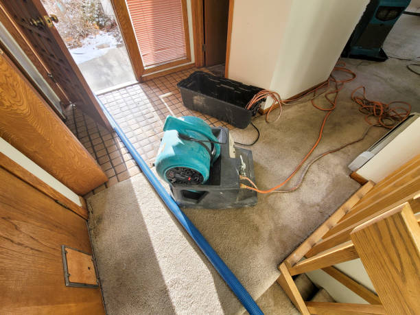 Best Water damage restoration near me  in Irving, TX