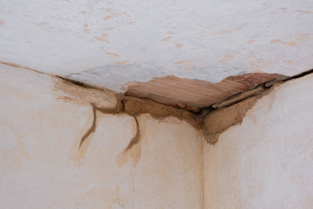 Best Residential water damage restoration  in Irving, TX