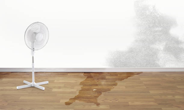 Best 24/7 water damage repair  in Irving, TX