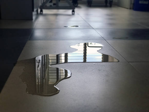 Best Carpet water damage restoration  in Irving, TX