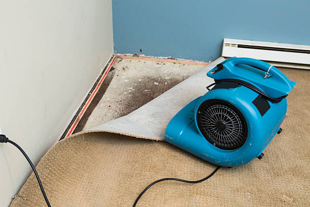 Best Fire Damage Restoration  in Irving, TX